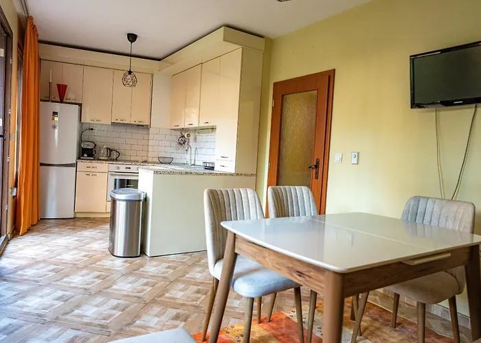 Claire With Garden 索菲亞