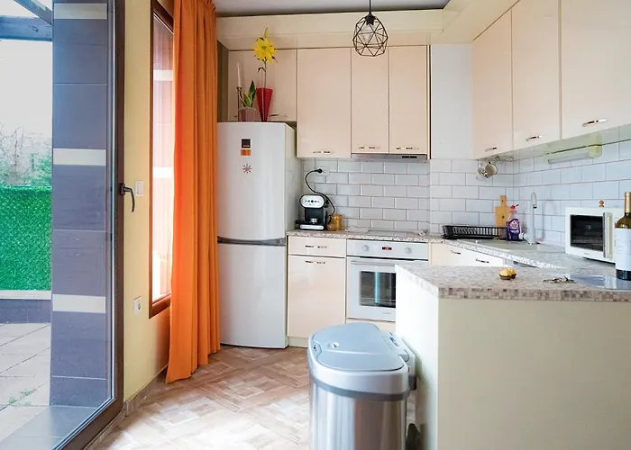 Claire With Garden ソフィア