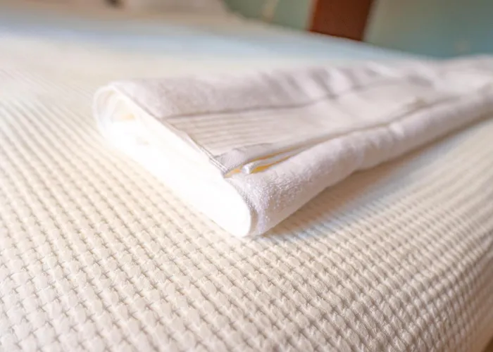 Claire With Garden ソフィア