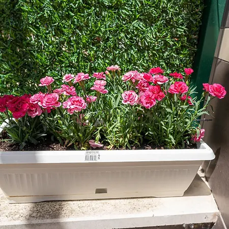 Quiet Garden Retreat, Private Patio Free Parking