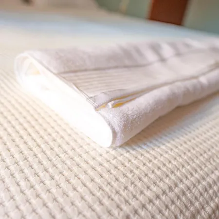 Claire With Garden Sofía